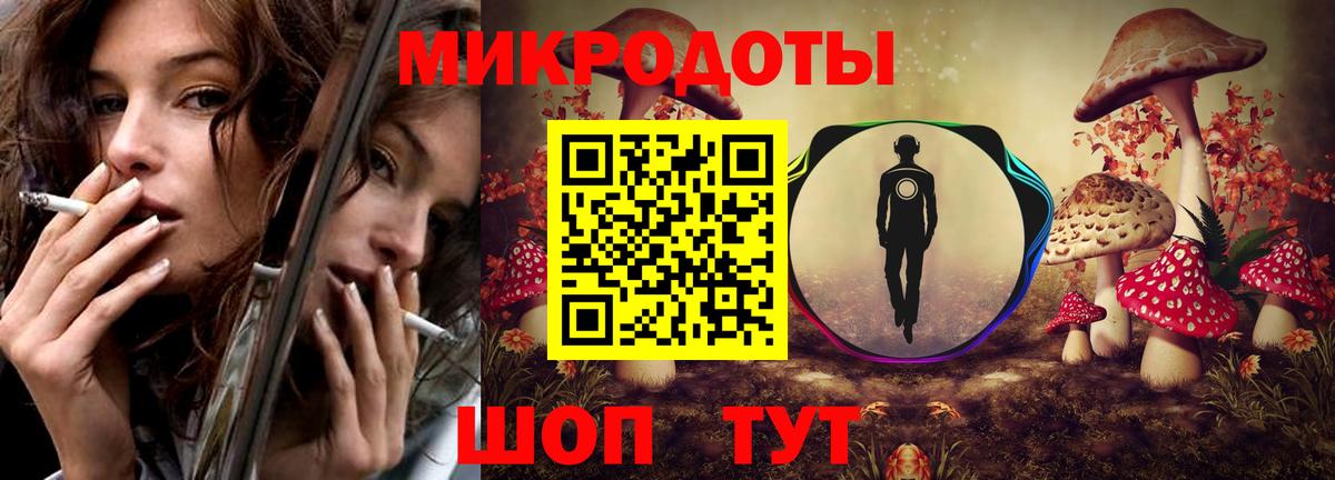 Псилоцибиновые грибы Psilocybe Астрахань